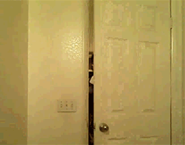 tumblr_lp8nl31Ggr1qd58vm