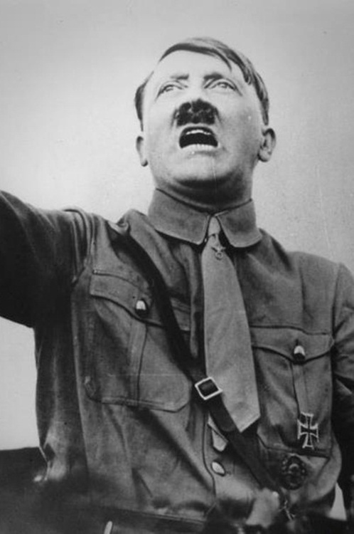 tumblr_mt88qwo8bb1shgf0mo1_500