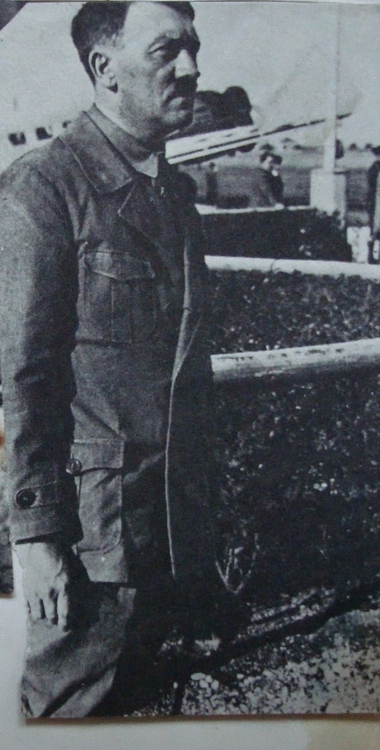 tumblr_mnbl7jrd7V1s9fi41o1_500