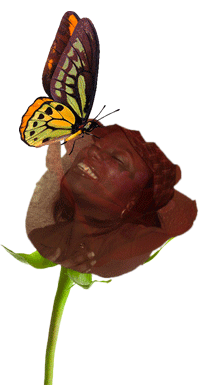 b4b14fbac787e96ee7c6e1912db1a6a4