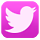 icon_twitter